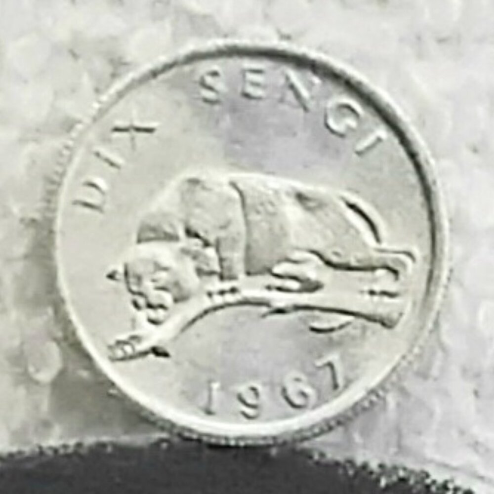 Circulated 1967 Congo Banque Nationale du Congo 10s Dix Sengi Coin!!